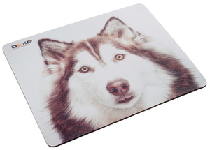 Коврик DEXP OM-XS Dog