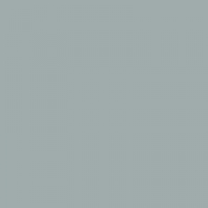 Фон бумажный Superior 2,72x11m Gray