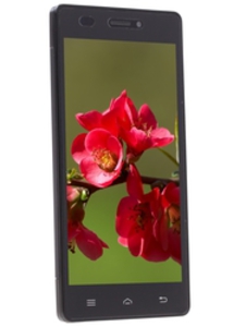 Смартфон DEXP Ixion M250 Ferrum 8 Гб черный