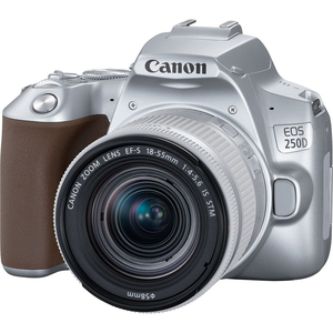 Цифровой фотоаппарат Canon EOS 250D kit 18-55mm IS STM Silver