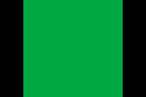 Фон бумажный Polaroid Dark Green Зеленый 2.72x11 м
